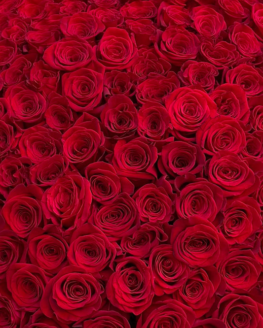 Red Roses