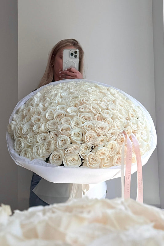 White Roses "Ivory Dream"