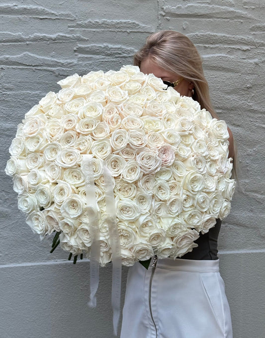 White Roses "Ivory Dream"