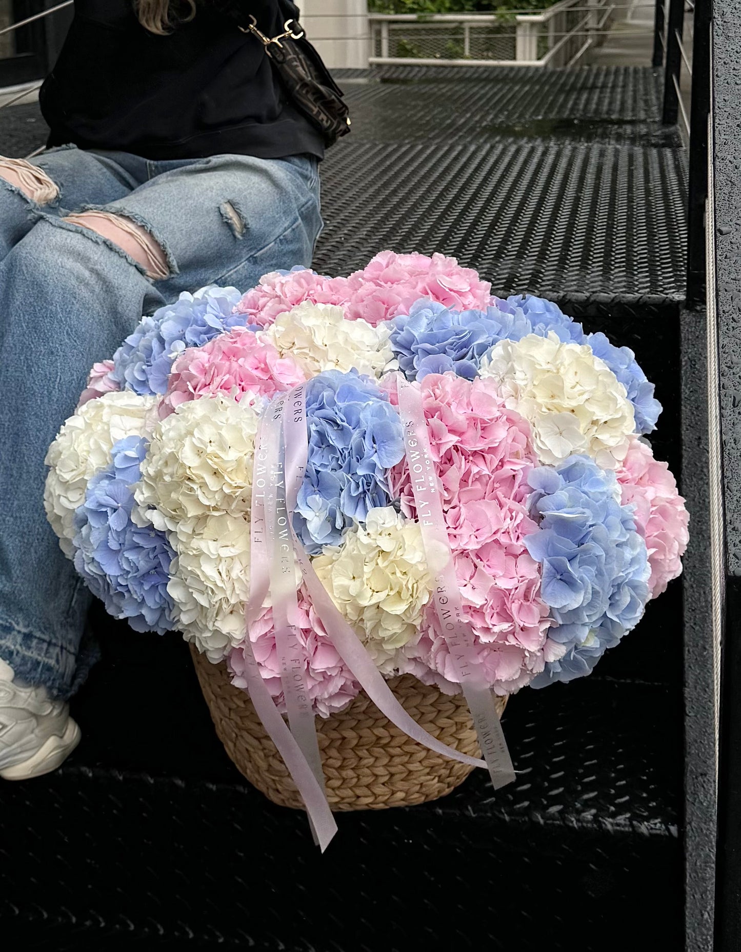 Hydrangea Basket