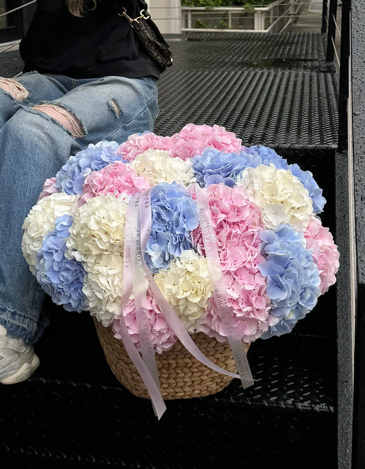 Hydrangea Basket