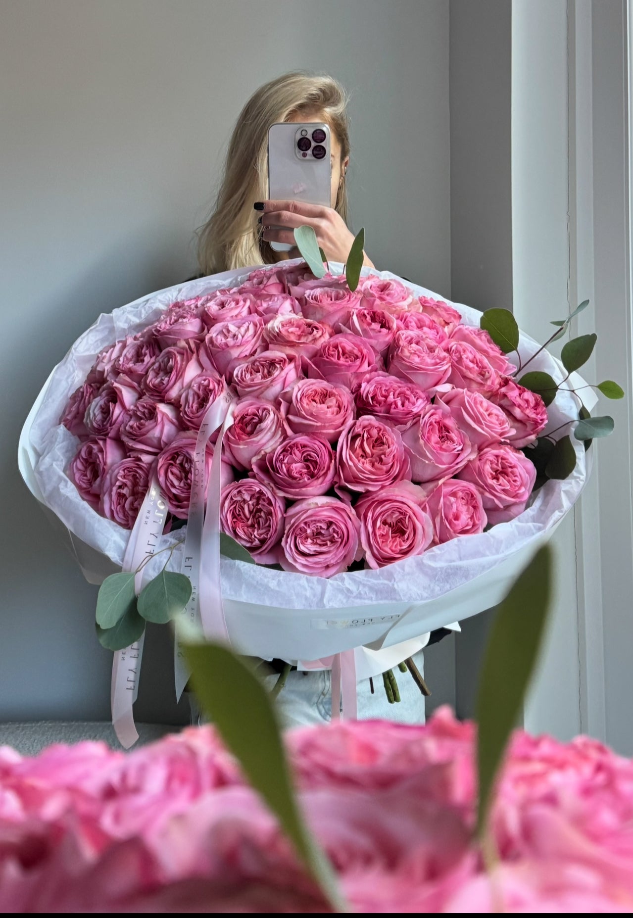 Garden Roses "Pink X-pression"