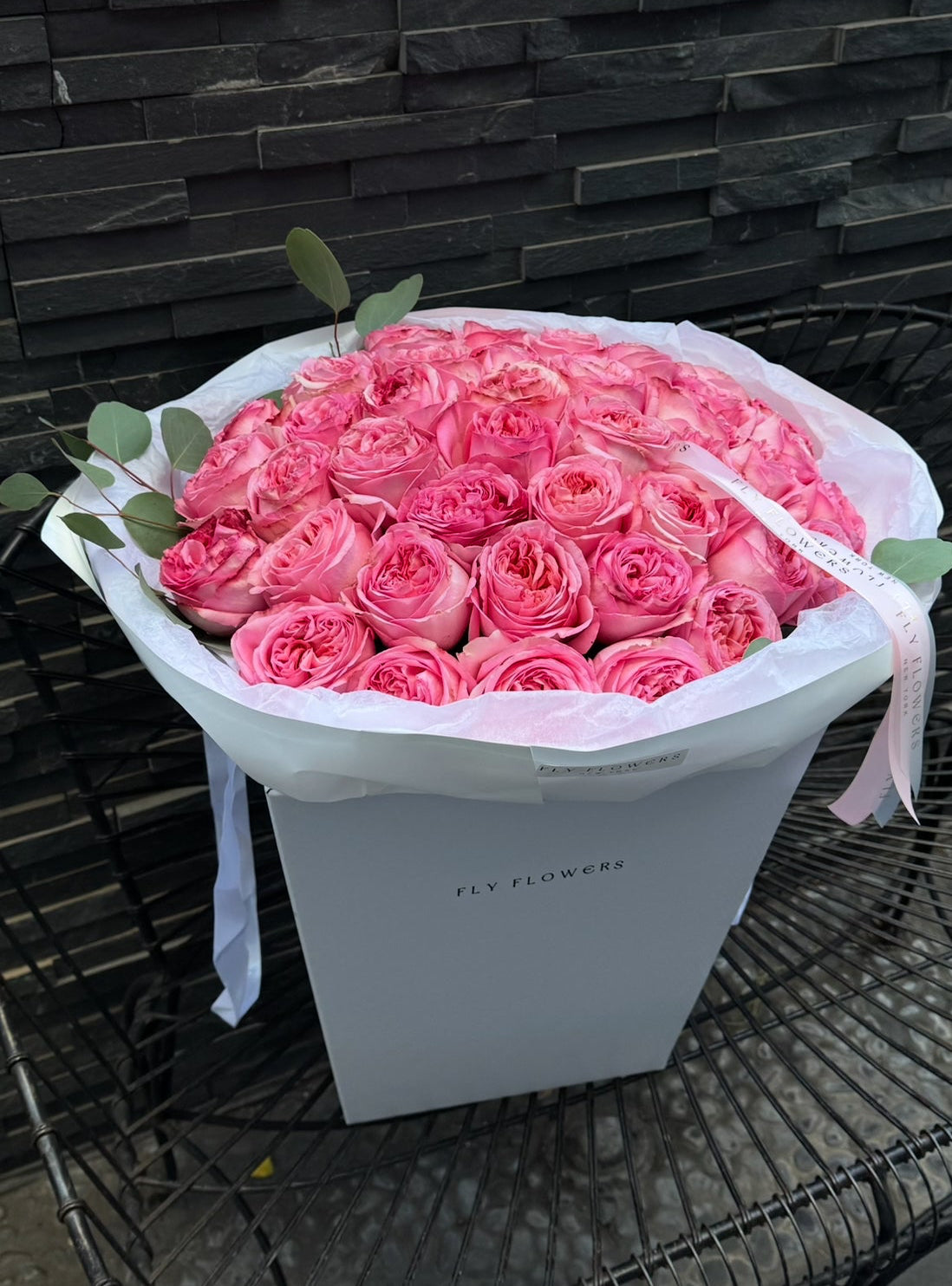 Garden Roses "Pink X-pression"