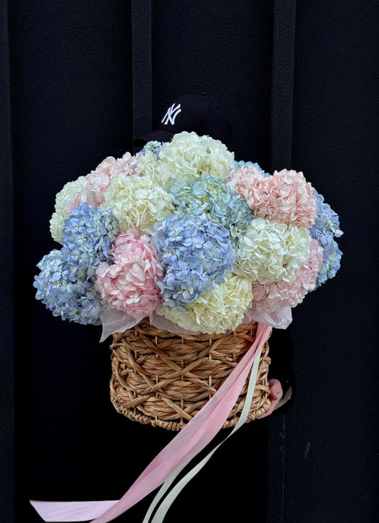 Hydrangea Basket